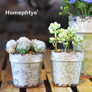 homephyte陶瓷大花盆多肉，花盆透气性好花卉，绿植兰花桌面美式