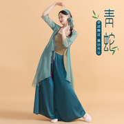古典舞表演服女飘逸青蛇装舞蹈，演出服装中国风，青绿色纱衣练功服