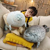 海豹抱枕娃娃毛绒玩具女孩，网红日本小海豹，公仔靠枕儿童小玩偶布偶