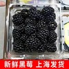 新鲜到货怡颗莓黑树莓24盒装100g每盒黑莓孕妇稀有水果