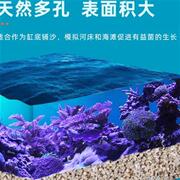 蓝色珍品海缸造景珊瑚沙海沙菲律宾沙子天然鱼缸底砂海砂珊瑚骨石