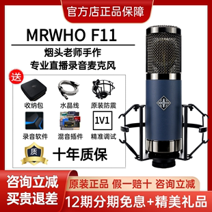 mrwhof11大震膜电容话筒，晶体管系列烟头，录音棚麦克风直播