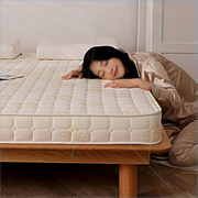 床垫软垫加厚家用睡垫，1.5米宿舍单人1.2m海绵垫，褥子双人1.8床垫子