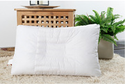 多喜爱 同款 全棉定型中枕芯枕头保健枕决明子木棉成人枕
