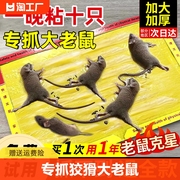 粘鼠板强力粘鼠标超强老鼠贴家用强力胶抓杀大老鼠老鼠板灭鼠