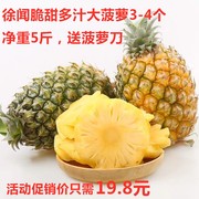 现摘现发徐闻菠萝新鲜水果非凤梨香水菠萝5斤装3-4个