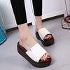 夏季韩版厚底坡跟凉拖鞋女士磨砂皮松糕底一字拖凉鞋2019女。
