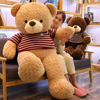 正版大号泰迪熊公仔毛绒，玩具布娃娃女生男孩大熊，抱抱熊可爱女超大