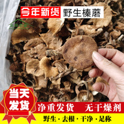 榛蘑野生榛蘑菇承德东北特产榛蘑，自然晒干榛蘑小鸡炖蘑菇