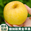 山东烟台维纳斯黄金苹果水果，新鲜脆甜应季整箱5斤黄胖子(黄胖子)礼盒