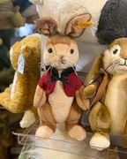 德国直邮steiff毛绒玩具，兔子彼得兔，27cm355264