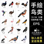 59种鸟类猫头鹰火烈鸟老鹰手绘插画，t恤图案，印刷eps矢量素材