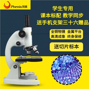 凤凰光学显微镜精子高倍清晰中小学生，儿童科学实验专业生物显微镜