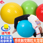 幼儿园颗粒大龙球儿童感统训练器材加厚瑜伽球家用婴儿按摩球玩具