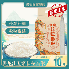 Z大米五常长粒香米10斤东北大米新米五常香米长粒香粳米熬粥5kg