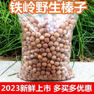东北铁岭新鲜野生小榛子，2023特产干果，生榛子散装坚果生的榛子炒熟
