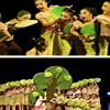 第十二届小荷风采舞蹈大赛蒲扇摇少儿民族舞蹈扇子舞蹈演出服