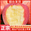 烟台红富士苹果新鲜水果当季整箱，礼盒山东栖霞冰，糖心丑苹果510斤