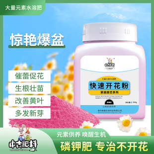 中古快速开花粉500g瓶装花卉盆栽通用型园艺肥促花生根壮苗家用