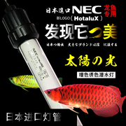 日本nec潜水龙鱼灯，防水6700kt8三基色鱼缸灯管，水族金龙鱼增色专用