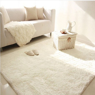 北欧家用白色客厅茶几地毯，主播卧室满铺床边毯衣帽间垫飘窗毯定制