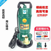 德国进口370w750w单相家(单相家)用电潜水泵1寸220v抽水机井用农用户外浇