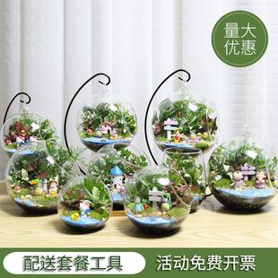 微景观创意植物迷你盆栽diy植物生日礼物苔藓，生态瓶寻觅---(10cm