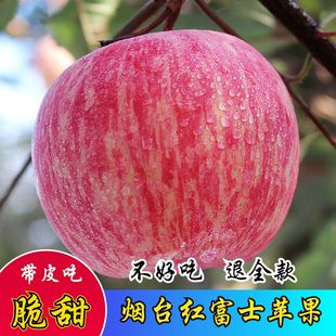 山东烟台苹果栖霞水晶红富士新鲜吃的水果甜脆10斤一整箱批