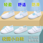 儿童小白鞋女童小学生白布鞋(白布鞋)幼儿园室内男童帆布鞋白色球鞋表演鞋