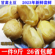 新鲜土豆2023年新货甘肃农家冬播土豆马铃薯新洋芋现挖新土豆9斤