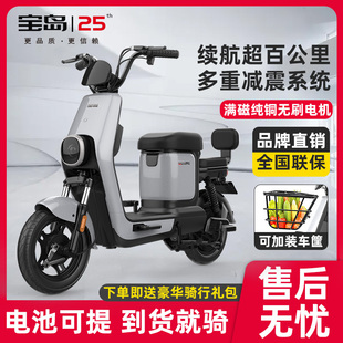 宝岛电动车新国标(新国标)可上牌n5成人电动自行车男女式48v可提出锂电电
