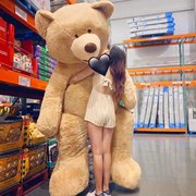 正版美国泰迪熊大熊玩偶，超大号毛绒玩具，抱抱熊布娃娃公仔生日礼物