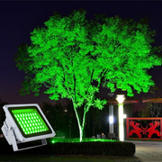 led投射灯户外照树灯，景观亮化绿色20w绿光，30w50w庭院广告草坪林园