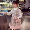 女童加绒背心裙秋冬2023韩版洋气小女孩，公主裙子时髦两件套装