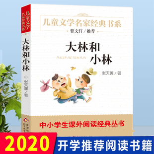 大林和小林 张天翼正版 儿童文学名家经典书系 1-3-6三四五六七八年级中小学生课外小说读物 7-10-12-14岁少儿童文学故事