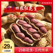 四粒红紫衣湿烤花生23年新福建省龙岩水煮白晒咸干零食农家特产