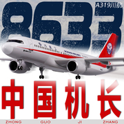 空客a319川航中国机长，四川航空3u8633飞机模型，仿真客机航模带轮子