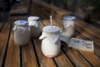 200ML240ML白瓷酸奶杯带盖玻璃布丁陶瓷瓶白瓷杯老北京牛奶杯