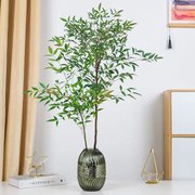 南天竹盆栽水培植物水养，室内客厅桌面绿植，四季好养形似吊钟马醉木