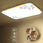 LED吸顶灯亚克力铝材客厅灯现代简约长方形吸顶灯零售