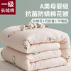 新疆一级棉花被芯被子冬被纯棉花垫被棉被棉胎床垫手工铺盖棉絮
