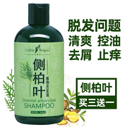 侧柏叶植物控油洗发水生姜洗发液酸性，男女士油，性发质去屑止痒