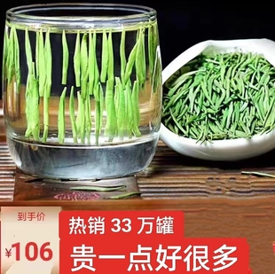 2024新茶3a雀舌春茶毛尖竹叶绿茶口感重明前剐油脂茶叶