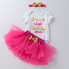 跨境欧美童装婴儿周岁生日服卡通哈衣粉色玫红公主裙套装