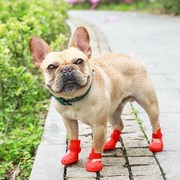 狗狗鞋子泰迪鞋套法斗雨鞋外出防水不掉脚防脏脚套夏季宠物狗凉鞋