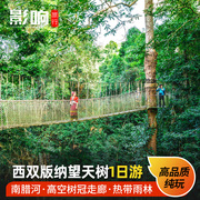 云南旅游西双版纳望天树，景区直通车纯玩一日游探秘雨林空中走廊