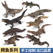 仿真鳄鱼模型实心塑胶动物玩具野猪鳄尼罗鳄儿童科教认知大小摆件
