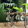 摆件透明玻璃花瓶绿萝水培，玻璃瓶客厅创意，小清新桌面摆件插花装饰