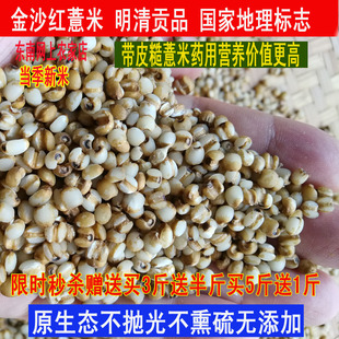 明清皇帝也吃过特级东南金沙薏米糙薏米仁红小薏米真空500g