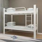 上下床家用高低床上下铺成人床公寓双层床钢制上下床铺学生带